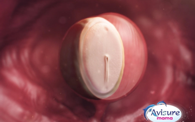 ​Thai nhi 4 tuần tuổi, sự phát triển của bé, những thay đổi của cơ thể mẹ và cách đối phó với các nguy cơ